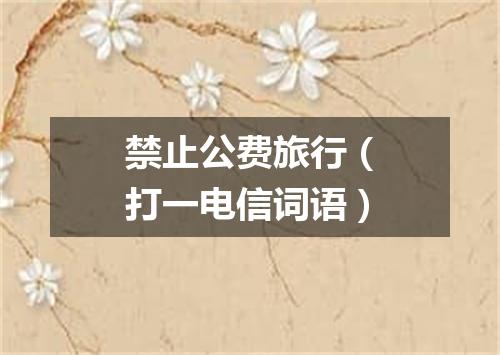禁止公费旅行（打一电信词语）