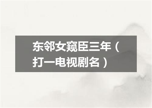 东邻女窥臣三年（打一电视剧名）