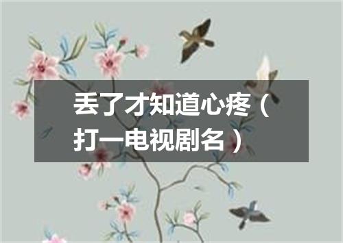 丢了才知道心疼（打一电视剧名）