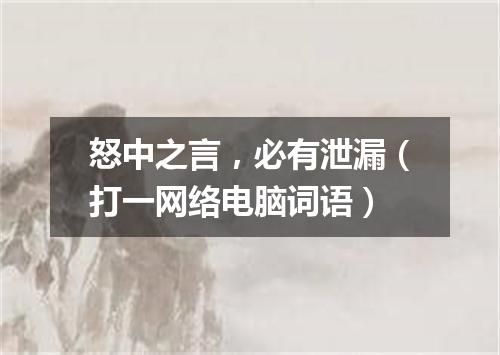 怒中之言，必有泄漏（打一网络电脑词语）