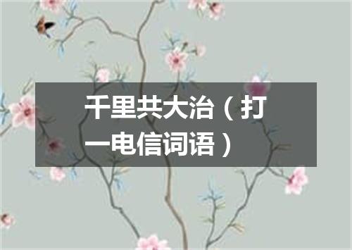 千里共大治（打一电信词语）