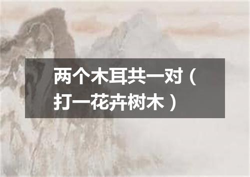 两个木耳共一对（打一花卉树木）