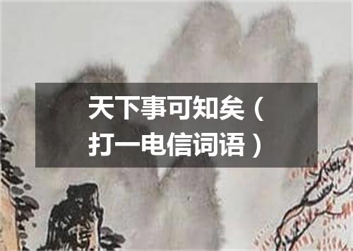 天下事可知矣（打一电信词语）