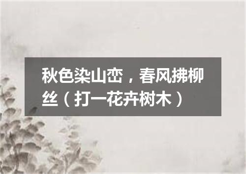 秋色染山峦，春风拂柳丝（打一花卉树木）