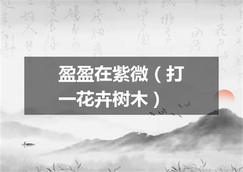 盈盈在紫微（打一花卉树木）