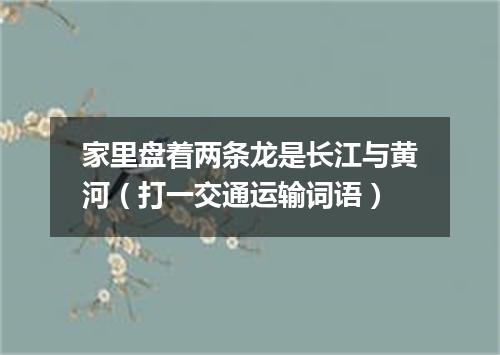 家里盘着两条龙是长江与黄河（打一交通运输词语）