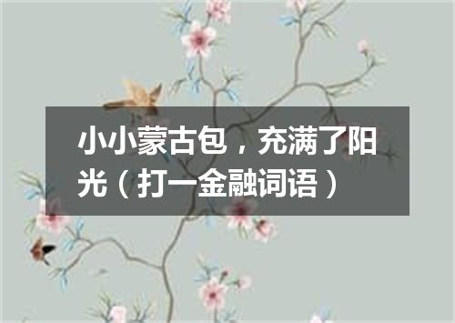 小小蒙古包，充满了阳光（打一金融词语）
