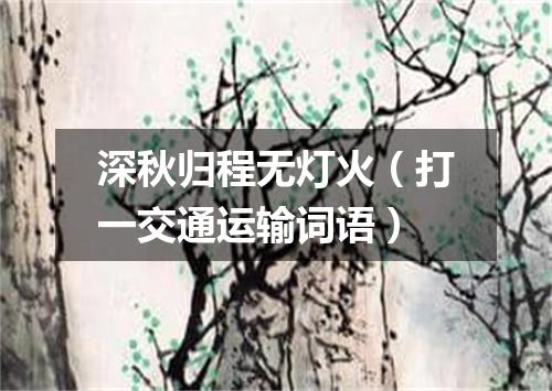 深秋归程无灯火（打一交通运输词语）