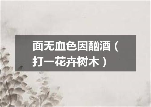 面无血色因酗酒（打一花卉树木）