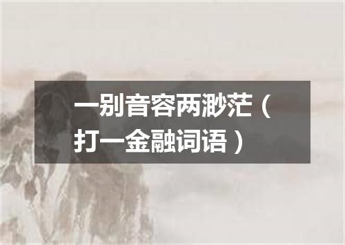 一别音容两渺茫（打一金融词语）