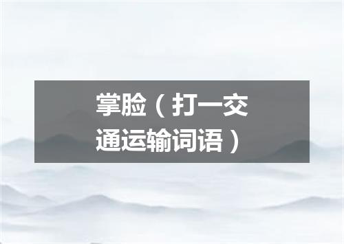 掌脸（打一交通运输词语）