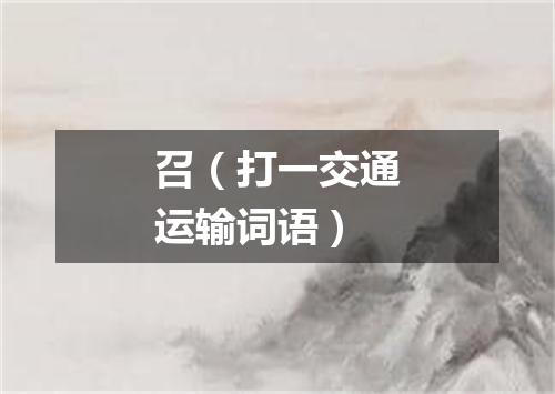 召（打一交通运输词语）