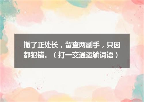撤了正处长，留查两副手，只因都犯错。（打一交通运输词语）