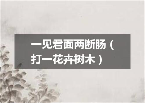 一见君面两断肠（打一花卉树木）