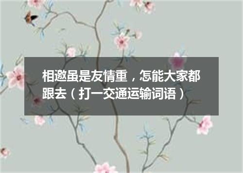 相邀虽是友情重，怎能大家都跟去（打一交通运输词语）