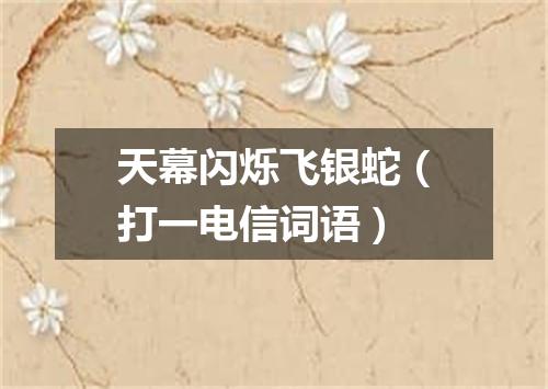 天幕闪烁飞银蛇（打一电信词语）
