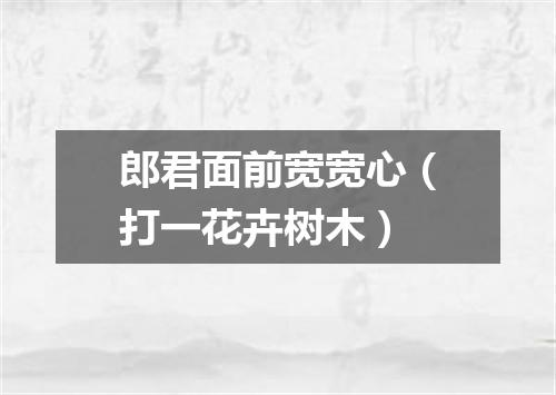 郎君面前宽宽心（打一花卉树木）