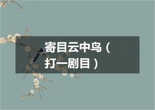 寄目云中鸟（打一剧目）