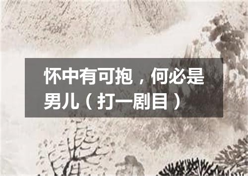 怀中有可抱，何必是男儿（打一剧目）