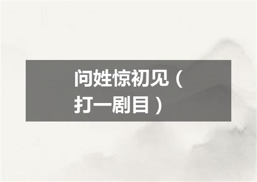 问姓惊初见（打一剧目）