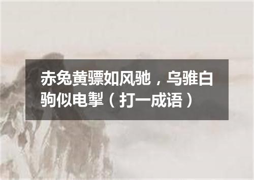 赤兔黄骠如风驰，乌骓白驹似电掣（打一成语）