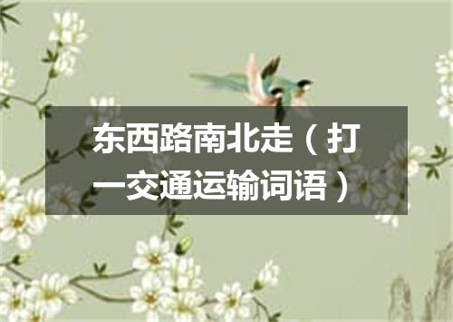 东西路南北走（打一交通运输词语）