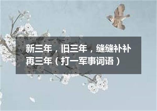 新三年，旧三年，缝缝补补再三年（打一军事词语）