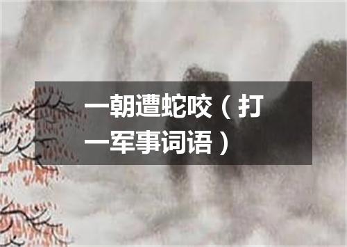 一朝遭蛇咬（打一军事词语）