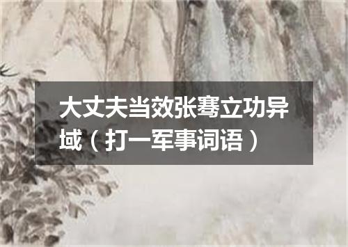 大丈夫当效张骞立功异域（打一军事词语）