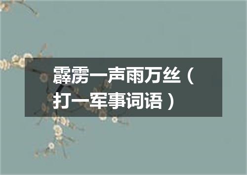 霹雳一声雨万丝（打一军事词语）