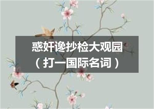 惑奸谗抄检大观园（打一国际名词）