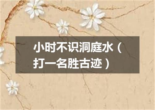 小时不识洞庭水（打一名胜古迹）