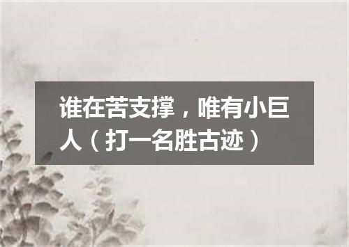 谁在苦支撑，唯有小巨人（打一名胜古迹）