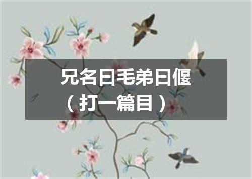 兄名曰毛弟曰偃（打一篇目）