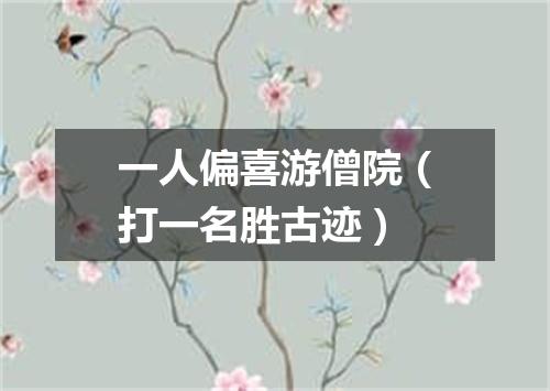 一人偏喜游僧院（打一名胜古迹）