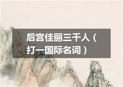 后宫佳丽三千人（打一国际名词）