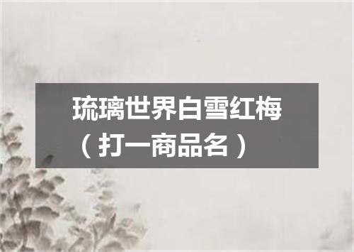 琉璃世界白雪红梅（打一商品名）