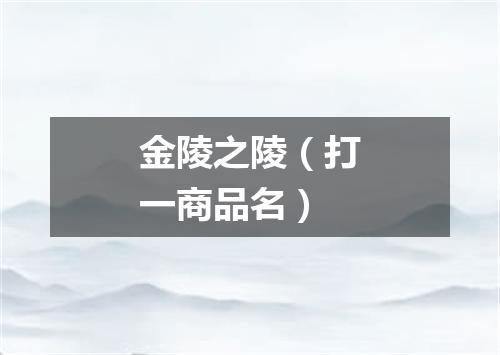 金陵之陵（打一商品名）