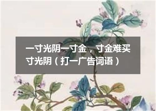 一寸光阴一寸金，寸金难买寸光阴（打一广告词语）