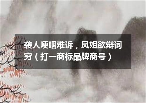 袭人哽咽难诉，凤姐欲辩词穷（打一商标品牌商号）