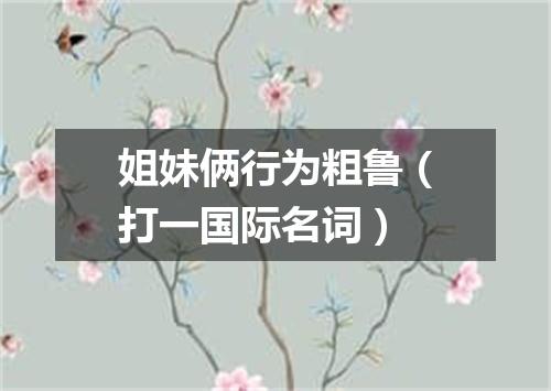 姐妹俩行为粗鲁（打一国际名词）