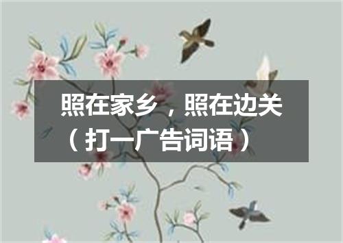 照在家乡，照在边关（打一广告词语）