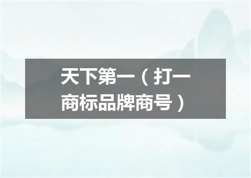 天下第一（打一商标品牌商号）