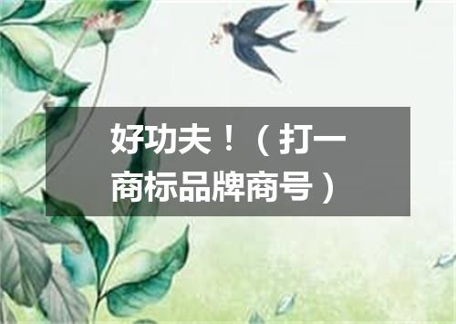 好功夫！（打一商标品牌商号）