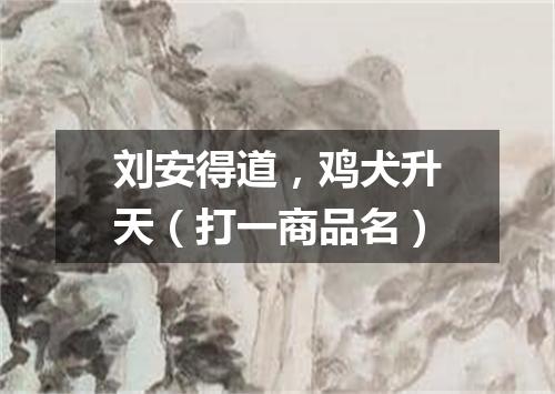 刘安得道，鸡犬升天（打一商品名）