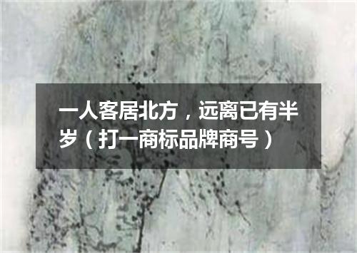 一人客居北方，远离已有半岁（打一商标品牌商号）