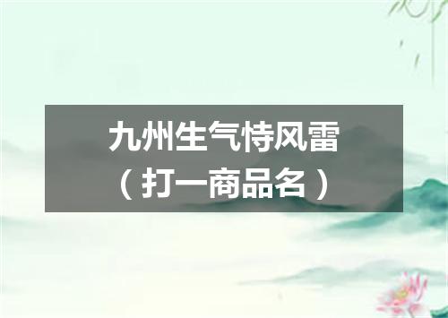九州生气恃风雷（打一商品名）
