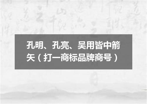 孔明、孔亮、吴用皆中箭矢（打一商标品牌商号）