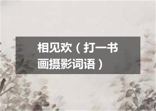 相见欢（打一书画摄影词语）