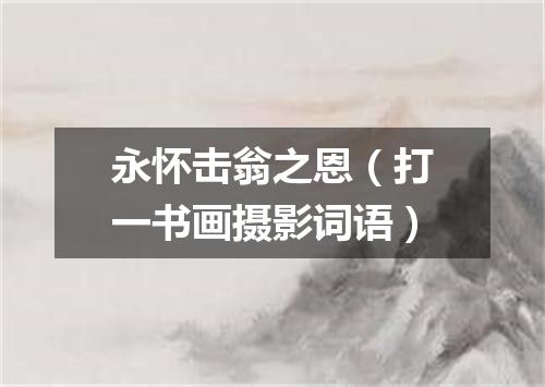 永怀击翁之恩（打一书画摄影词语）